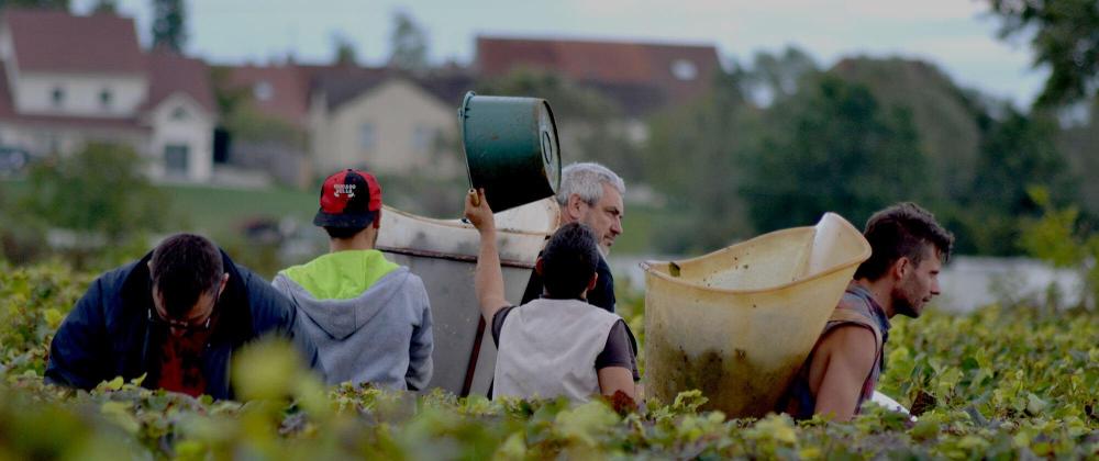 domaine vincent et sophie morey 04